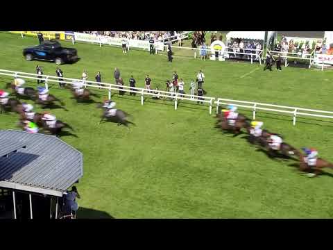 Hamburg  IDEE 153  Deutsches Derby Gruppe 1   Sieger  Sammarco