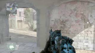 bo2やるよ！