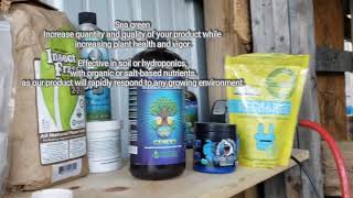 How to (recharge) soil with microbs 2020 marijuana garden of weeden (soil pimping)