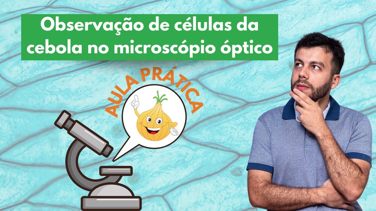 AULA PRÁTICA - Observação de CÉLULAS da cebola no MICROSCÓPIO ÓPTICO