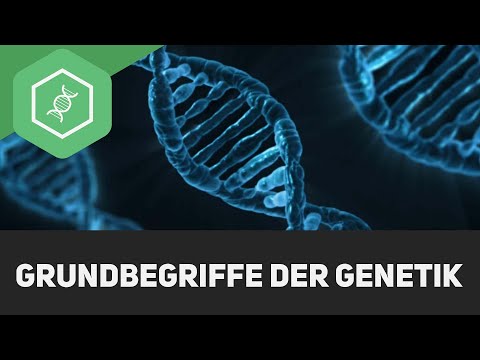 Grundbegriffe der Genetik