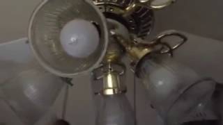 Casablanca 36" Lady Delta ceiling fan