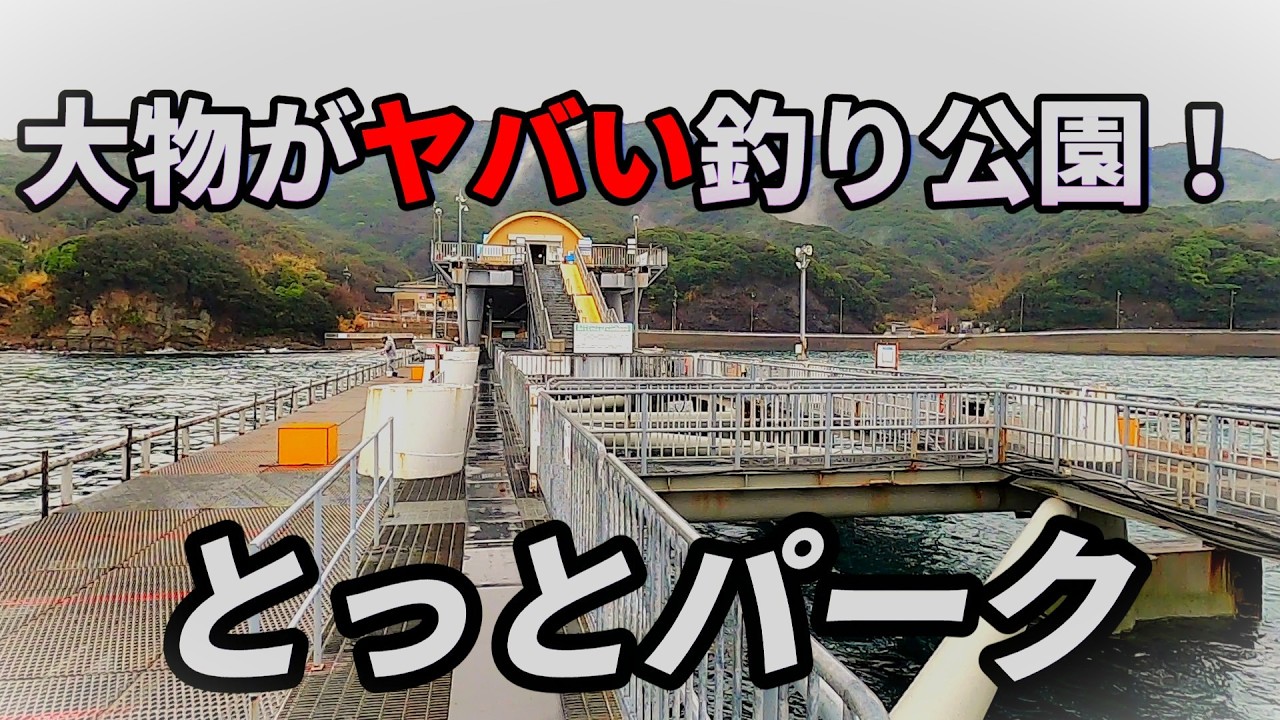 大物がヤバい！とっとパーク最新情報！！