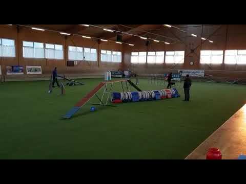 18.11.18 Yasmin mit Fly