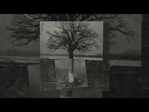 Hodak/Miroff - zapnij pasy! (interludium)