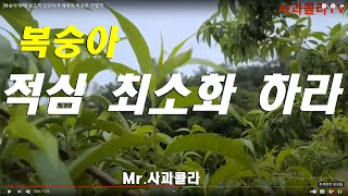 2021년 5월 21일.적심 많이하지 말라