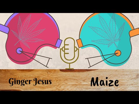 How do blood bowl dice work