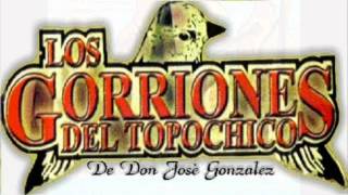 gorriones del topochico homenaje a don jose gonzales perez.