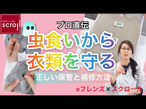プロ直伝！『虫食いから衣類を守る方法♪』