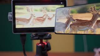 llano S850 Wireless Screen Projector Review – 4K Decode, 50 M Range & Plug-and-Play Wireless HDMI