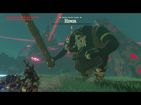 Breath of the Wild: Black Knight vs Black Hinox | Master Cycle Zero Expert Battle