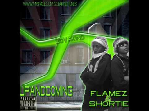 flamez  - make it funky 4 me (remix)