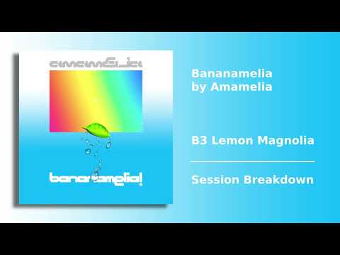 Amamelia and Sunreturn