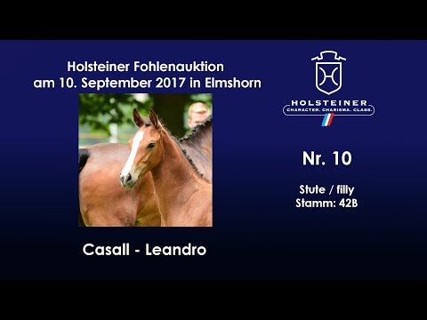 Nr. 10 v. Casall - Leandro