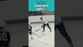 Shoulder Check Snipe!