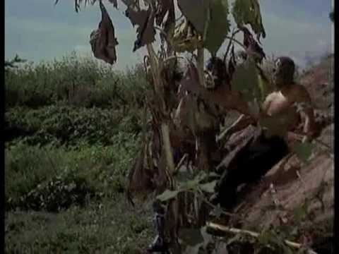 Champions of Justice Trailer