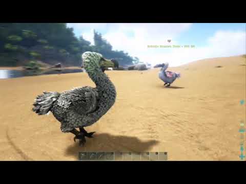 GUÍA COMPLETA PARA DOMESTICAR DODO//ARK