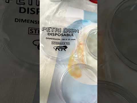 Polystyrene Petridish 90 Mm, For Chemical Laboratory