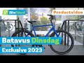 Batavus Dinsdag Exclusive 2025