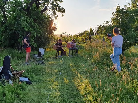 daydreaming twins - Donátus Live Session