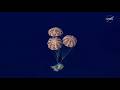 Splashdown just minutes away as Artemis II crew returns to Earth