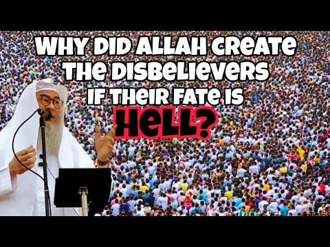 Why did Allah create the disbelievers if they are going to Hell anyway? #assim assim al hakeem