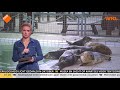 Eerste zeehondenpup opgevangen door Pieterburen