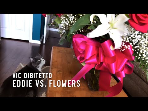Eddie vs. Flowers