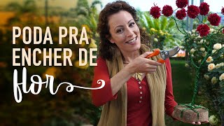 Miniatura do vídeo