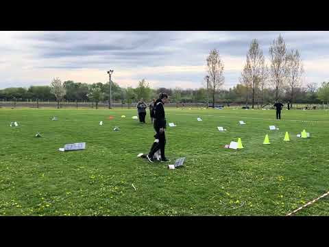 Bokros Tekla és “Lédi Rally Obedience kezdő vizsga 90p kitűnő minősítés 2024.04.06. Tárnok