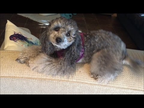 TDW 1588 - Did She Miss Me ?