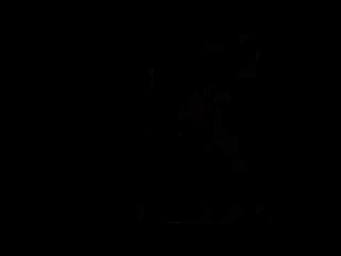 SunSilk 2008 Fashion Designer Range