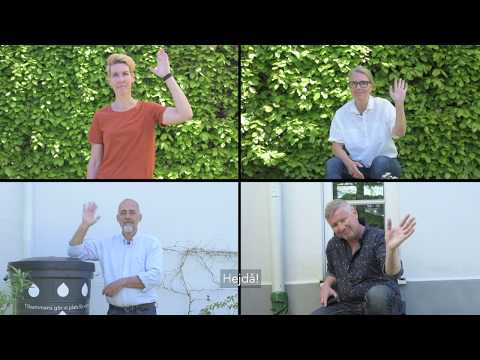 VA SYDs tre bästa tips för en regnsmart trädgård