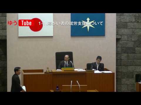国際関係学科 千葉県議会議員 水野友貴 2017年6月23日一般質問 【1-1】障害者の就労支援について