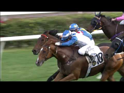 31/1/2021 (391) Casimiro - Matthew Chadwick