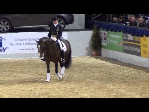 ESTOBAR NRW, BH., geb. Westf. 2004 v. Ehrentusch x Ferragamo - Florestan I