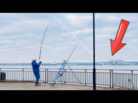“This FISH feels HUGE” NON STOP ACTION on the RIVER MERSEY!