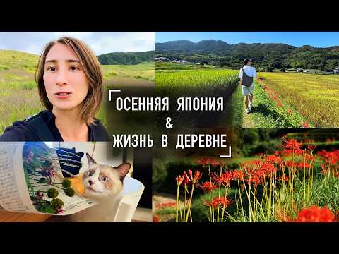 youtube-旅・海外記事2025/09/19 11:07:24