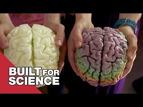 I Got To See And Hold My Brain (I Got To See And Hold My Brain)