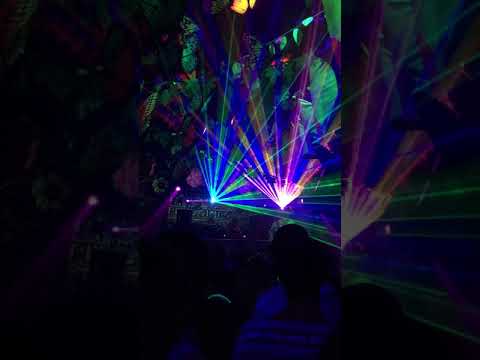 Dj Svess blasting Ingrained Instincts at Tribe of Frog 2017