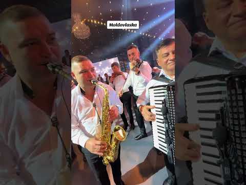Orchestra Moldovlaska sarbe in toiul nuntii