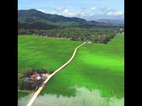 Chiều quê hương - Hoàng Thông