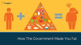 How the Government Made You Fat