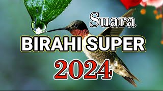 Download lagu SUARA BIRAHI SUPER 2024 mp3