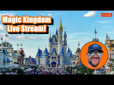 Live webcam of Theme Park Giant