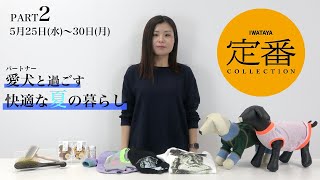 【定番コレクション】愛犬と過ごす快適な夏の暮らし