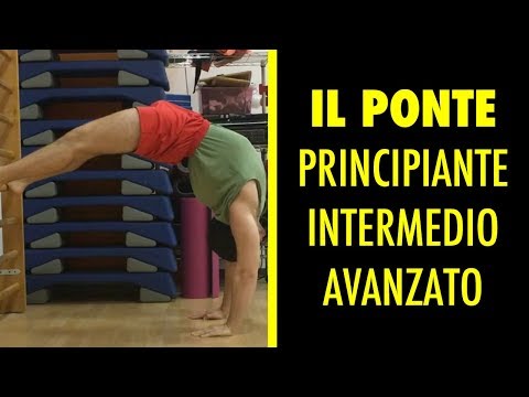 Come fai a sapere che cosa il vostro potenza Qualche afrodisiaco più efficace per le donne