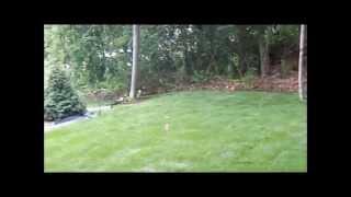 preview picture of video 'Dirt Cheap Excavating Excelsior, MN SOD PART 2'