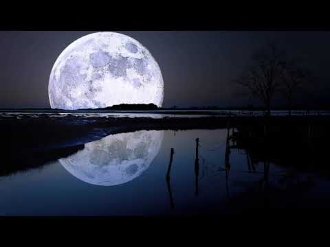 Sam Wolfe - Full Moon