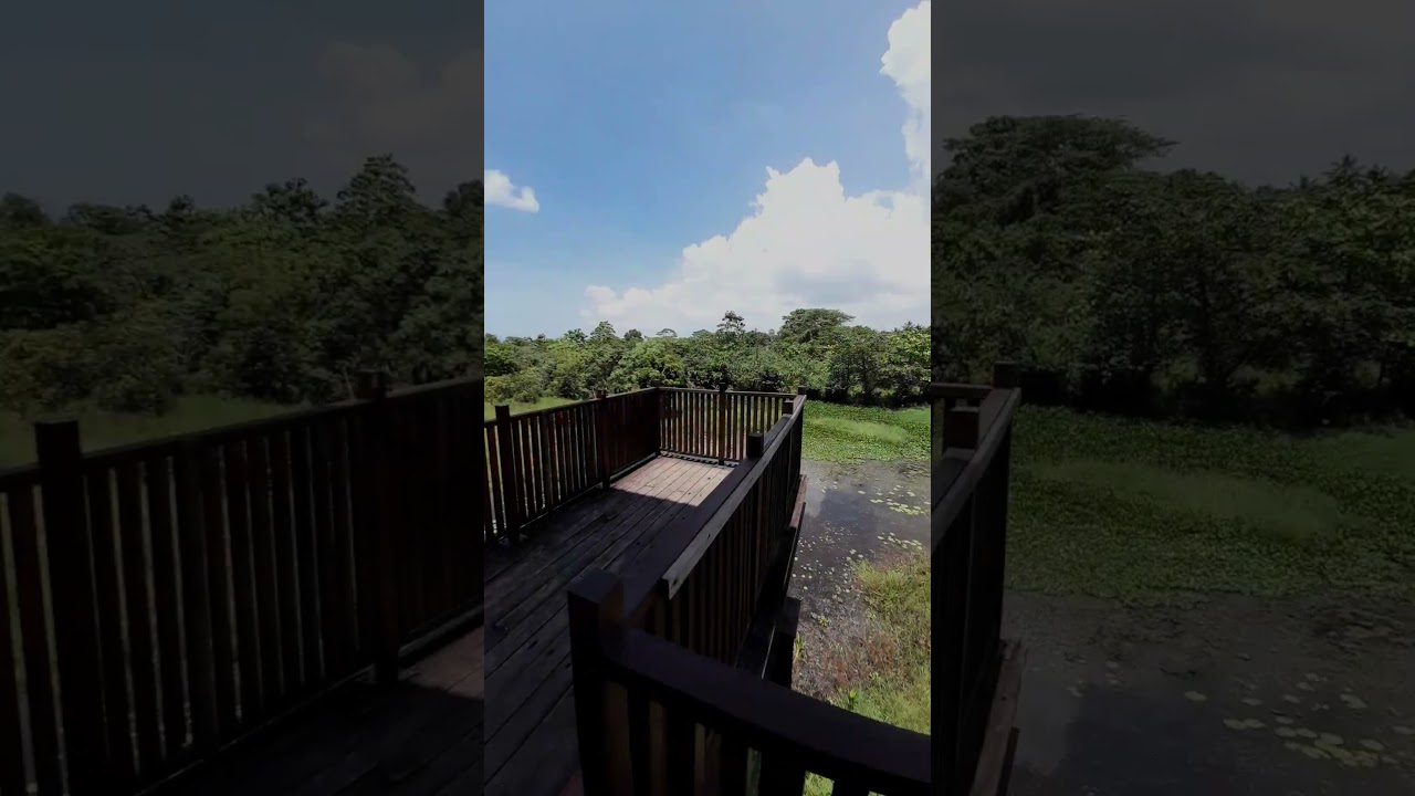 YouTube Short thumbnail